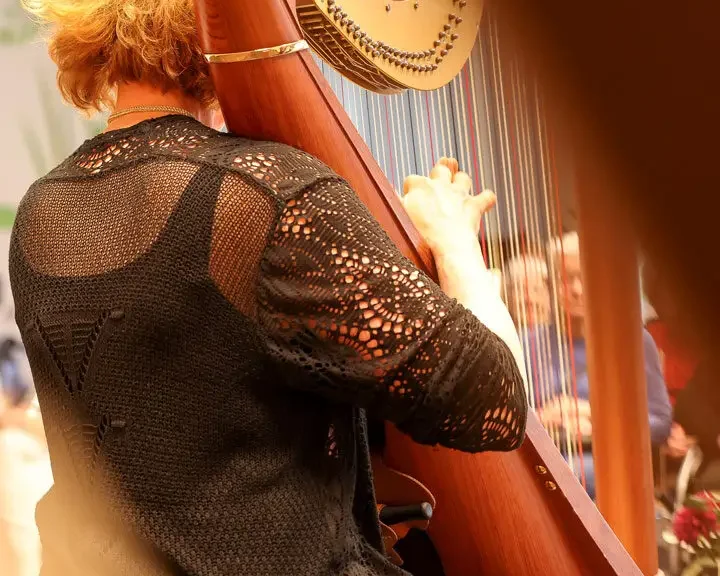 Luzerner Sinfonieorchester spielt anlässlich des 10-Jahre-Jubiläum in den Alterszentren von Viva Luzern