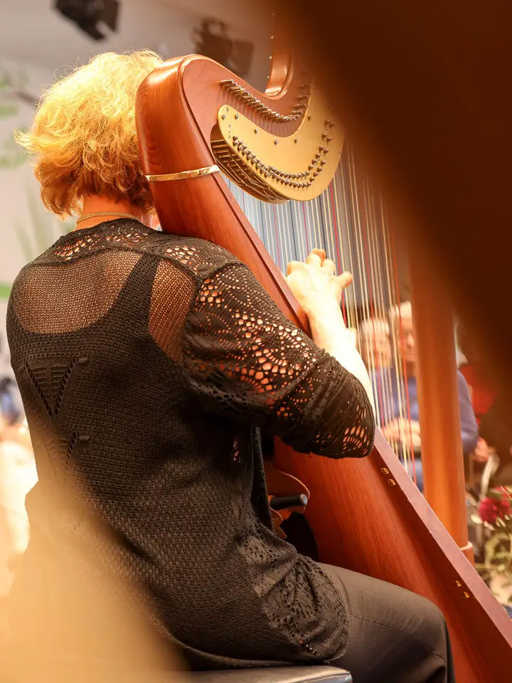 Luzerner Sinfonieorchester spielt anlässlich des 10-Jahre-Jubiläum in den Alterszentren von Viva Luzern