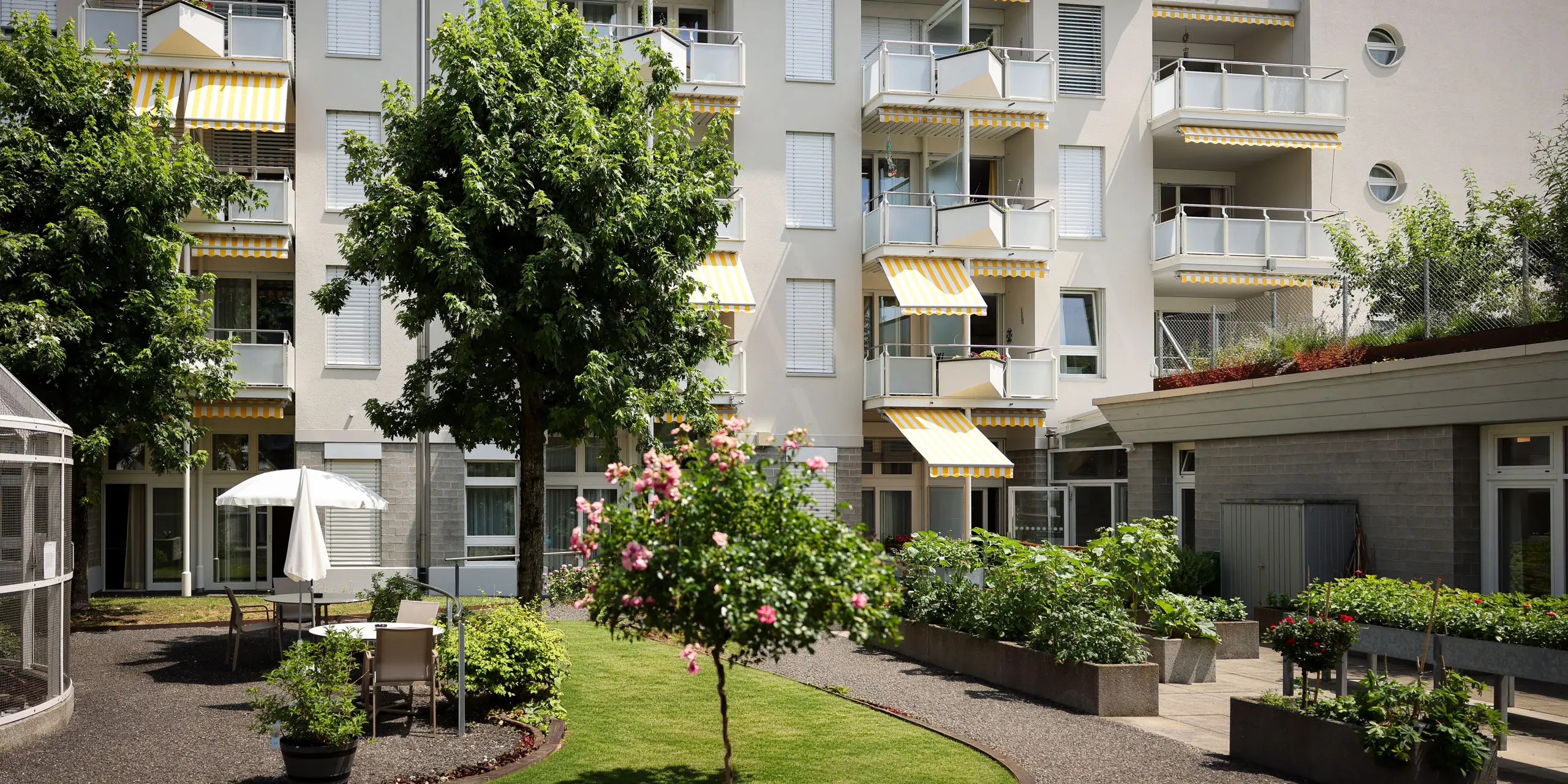 Garten Viva Luzern Rosenberg